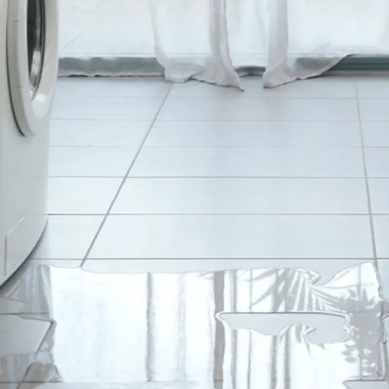 Appliance Leak Cleanup in Waldo, FL