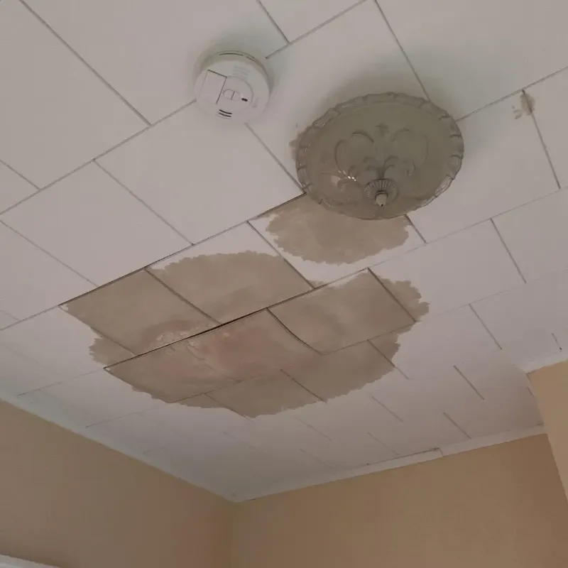 Ceiling Water Damage Repair in Waldo, FL